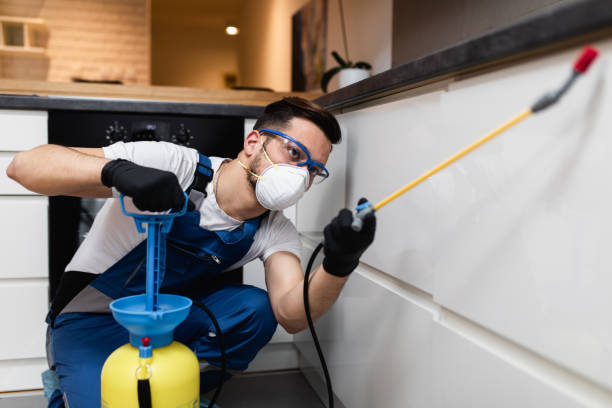 Best Exterminator Services  in Dublin, TX