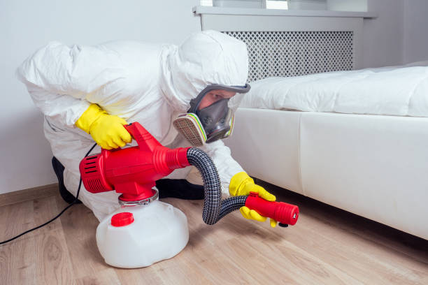 Trusted Dublin, TX Pest Control Experts