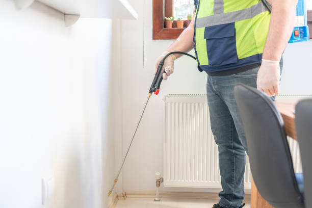 Best Pest Control Near Me in Dublin, TX