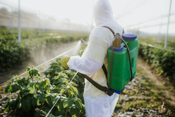 Best Emergency Pest Control  in Dublin, TX